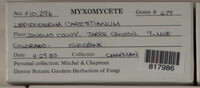 Image Associated With the Occurence